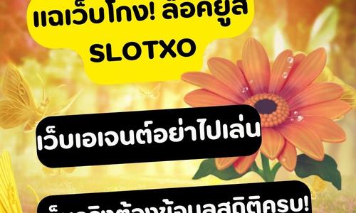 เล่นสล็อต slotxo ถอนได้จริง