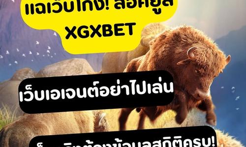 เล่นสล็อต xgxbet ถอนได้จริง