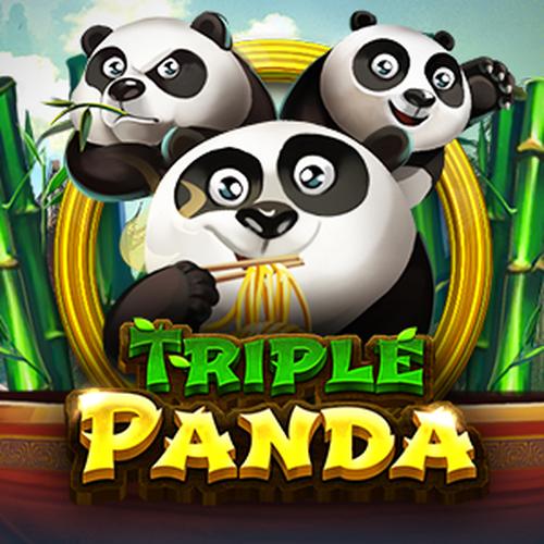 เล่นสล็อต TRIPLE PANDA Spadegaming 